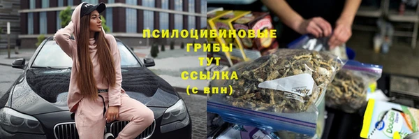 круглые Магас